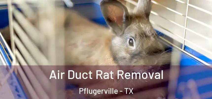 Air Duct Rat Removal Pflugerville - TX