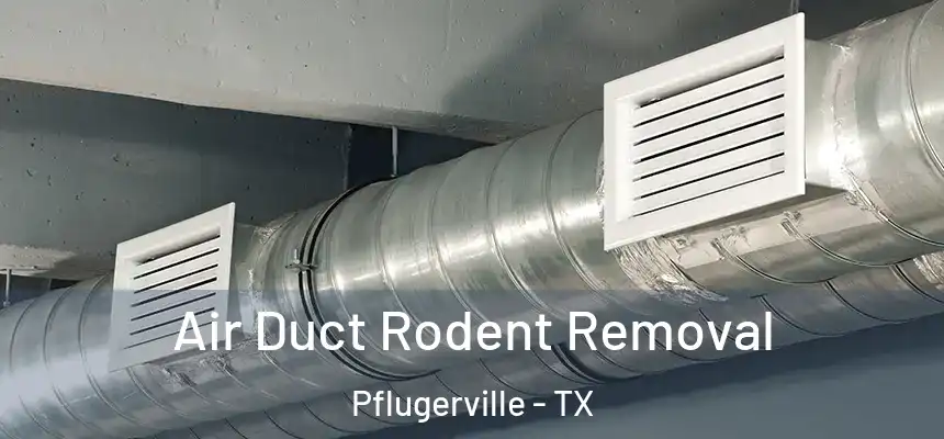 Air Duct Rodent Removal Pflugerville - TX