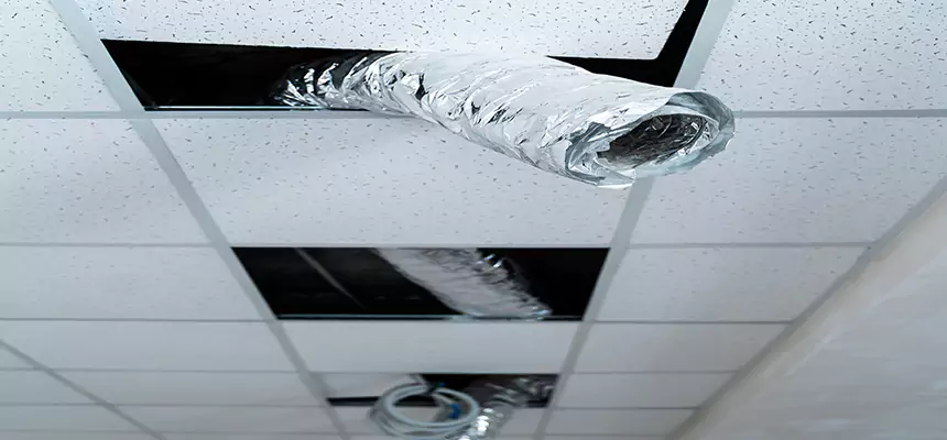 Affordable HVAC Sanitizing After Pest Removal in Pflugerville