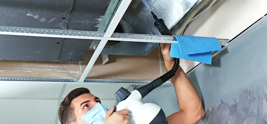 Our Air Duct Rodent Removal Services in Pflugerville, TX