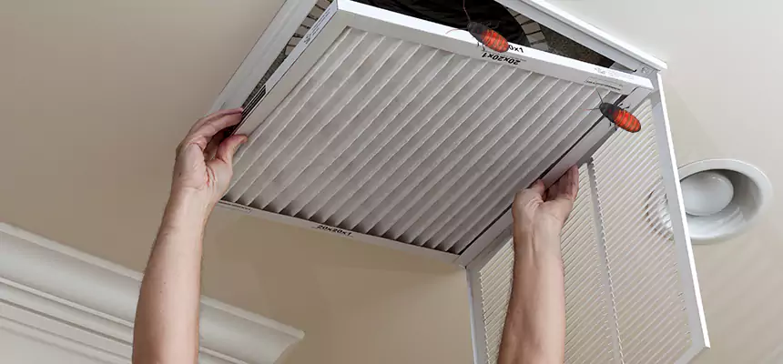 Our Insect Removal from Air Ducts Services in Pflugerville, TX