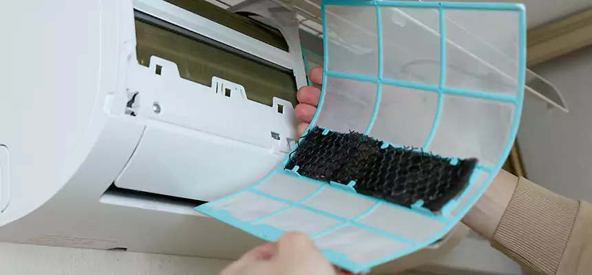 Gentle Ductwork Odor-Control Pet Dander Duct Cleaning in Pflugerville, TX