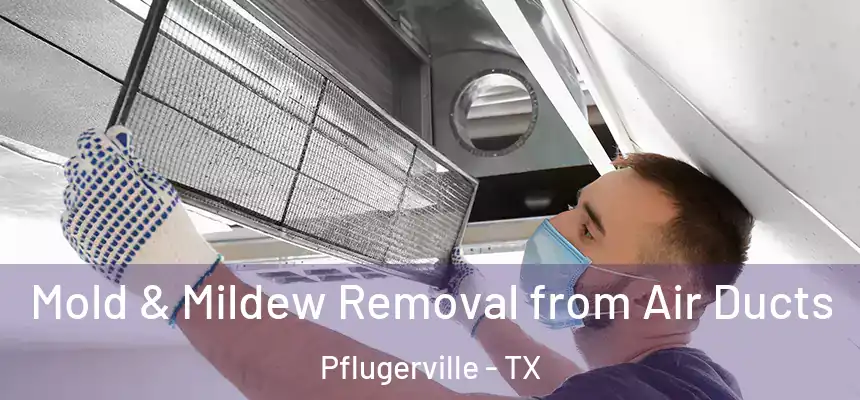 Mold & Mildew Removal from Air Ducts Pflugerville - TX