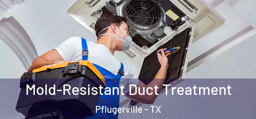 Mold-Resistant Duct Treatment Pflugerville - TX