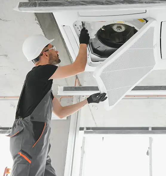 About Air Duct Rodent Removal in Pflugerville, TX