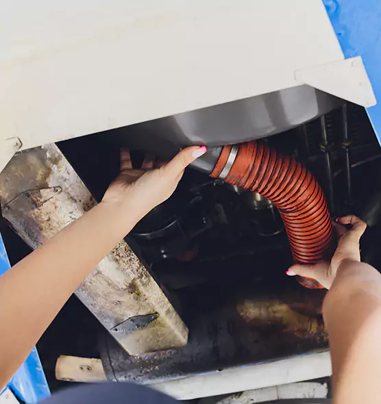 About Air Duct Virus Disinfection in Pflugerville, TX