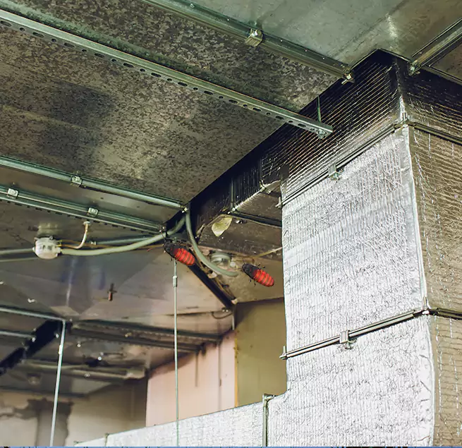 Why Homeowners & Businesses Trust Us in Pflugerville, TX?