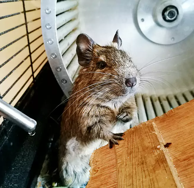 Why Homeowners & Businesses Trust Us Pflugerville, TX