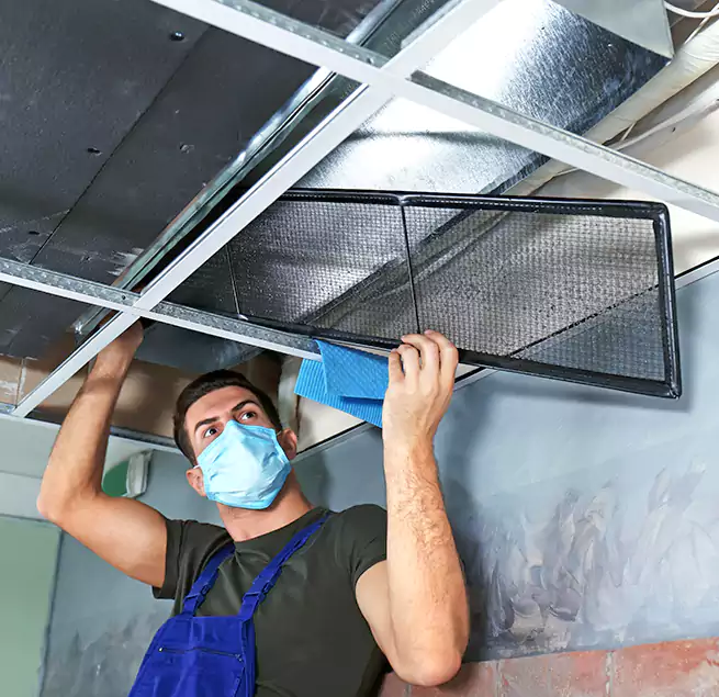 Why Homeowners Businesses Trust Us in Pflugerville, TX