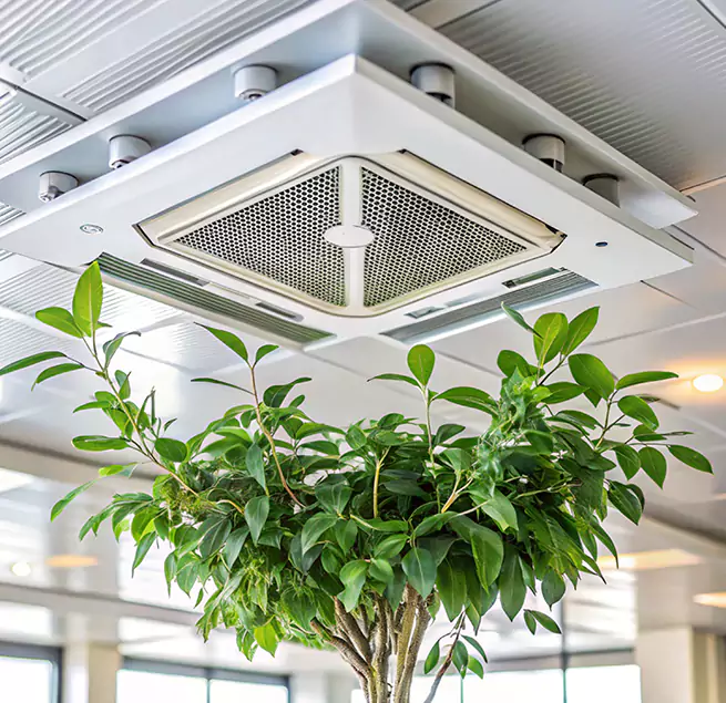 Why Homeowners & Businesses Trust Us in Pflugerville, TX