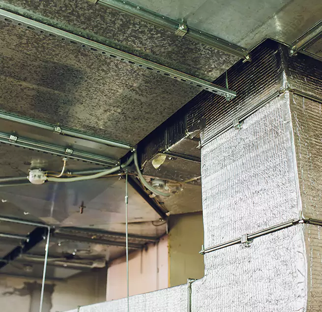 Why Homeowners & Businesses Trust Us in Pflugerville, TX?